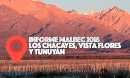 INFORME MALBEC 2018: LOS CHACAYES, VISTA FLORES Y TUNUYÁN